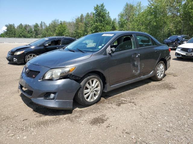 TOYOTA COROLLA BA
