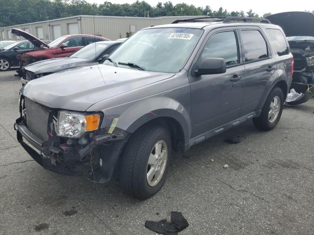 Vin: 1fmcu9dg4akd30139, lot: 62490785, ford escape xlt 2010 img_1
