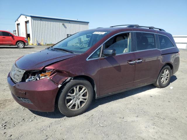 Vin: 5fnrl5h60db025671, lot: 63767305, honda all models exl 2013 img_1