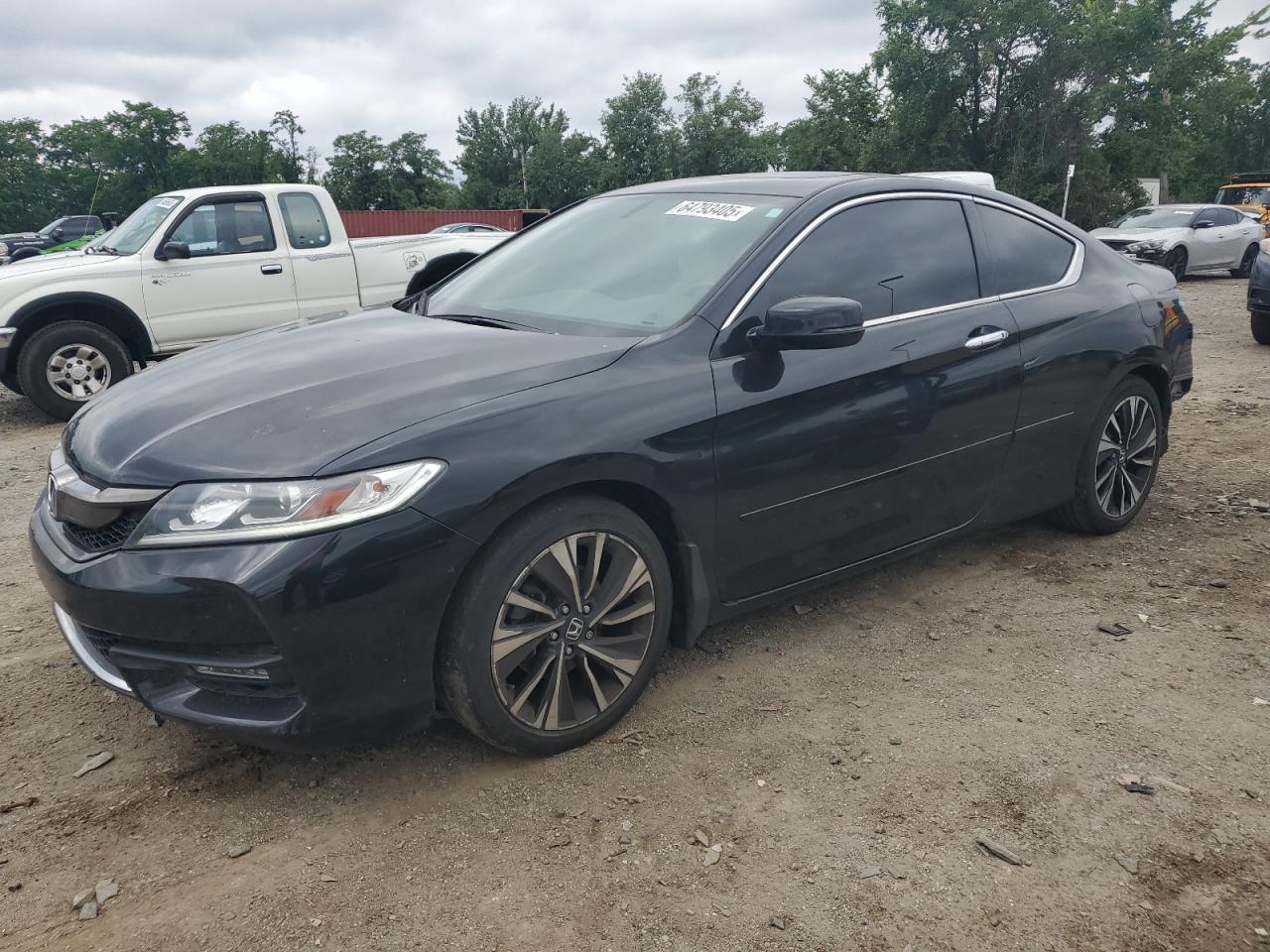 HONDA ACCORD EXL