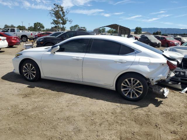 2022 LEXUS ES 300H BA 58ACA1C11NU013512
