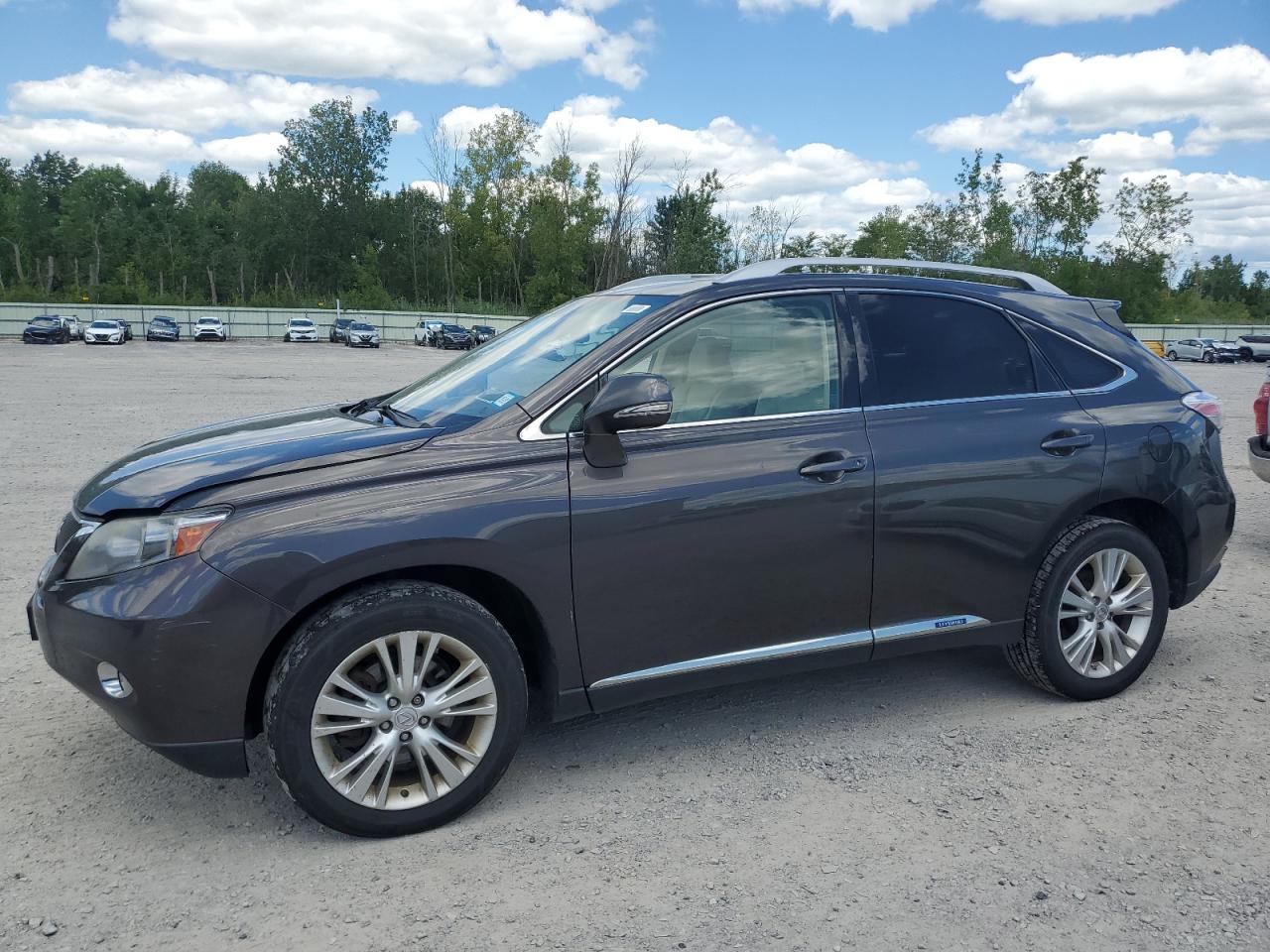 LEXUS RX 450H