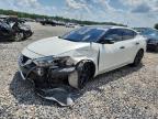 2017 NISSAN MAXIMA 3.5 - 1N4AA6AP5HC376709