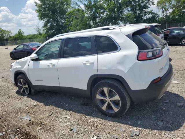 2019 JEEP CHEROKEE L 1C4PJMDX8KD136415