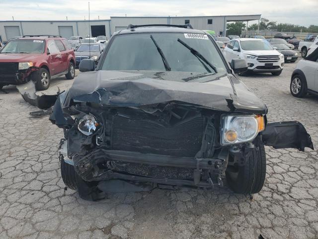 2010 FORD ESCAPE LIMITED - 1FMCU9EG5AKB53406