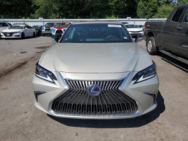 2021 LEXUS ES 300H UL 58AFA1C15MU002864