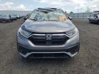 Lot #3302651013 2020 HONDA CR-V EXL