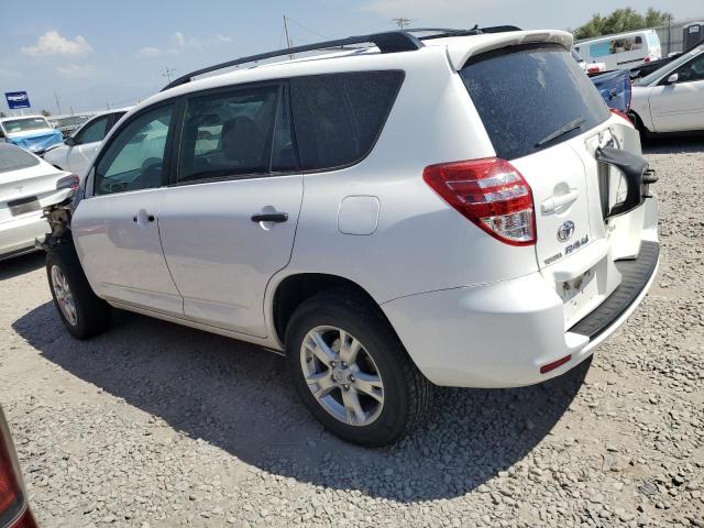 2010 TOYOTA RAV4 - 2T3BK4DV1AW030525