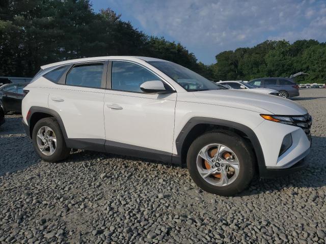 2024 HYUNDAI TUCSON SE 5NMJACDE8RH436892