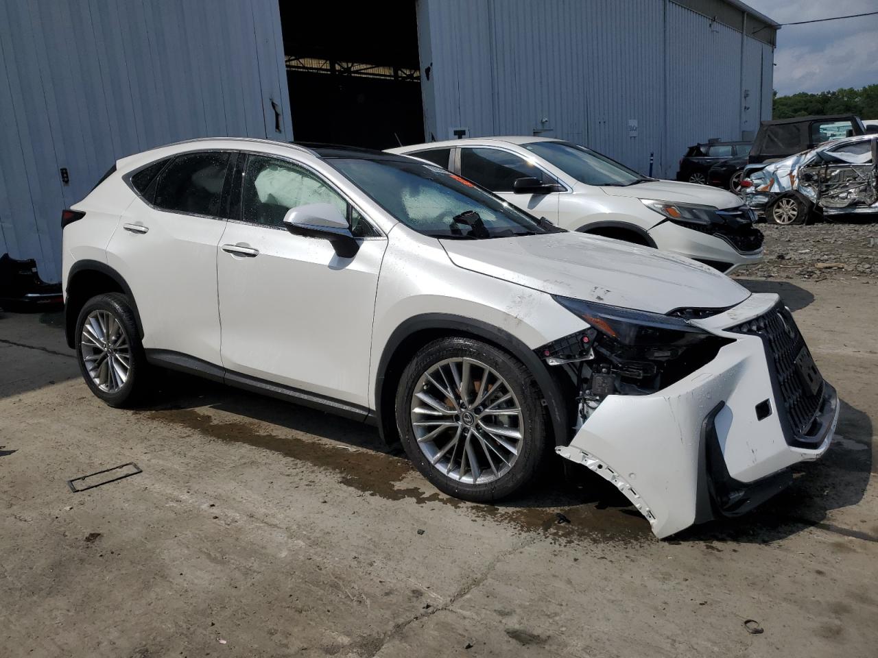 LEXUS NX 350H BASE