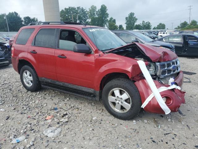 2011 FORD ESCAPE XLT - 1FMCU0DG5BKB97534