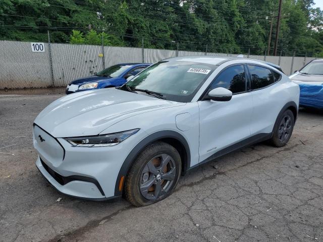 FORD MUSTANG MA