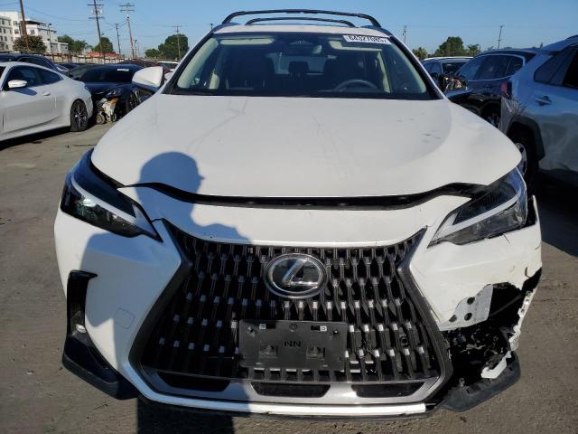 2025 LEXUS NX 250 BAS JTJADCAZ0S2016372
