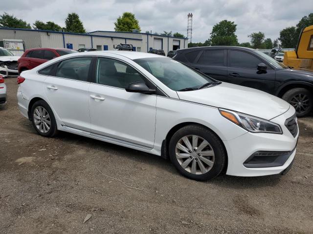 2016 HYUNDAI SONATA SPO 5NPE34AF5GH283161