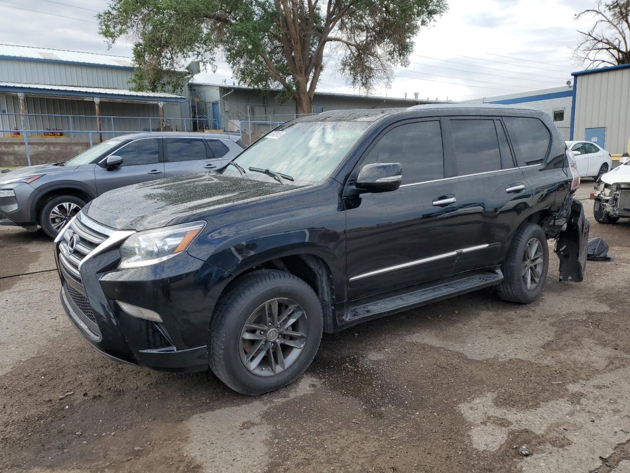 LEXUS GX 460