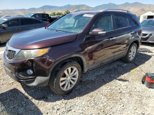 Global Auto Auctions: 2011 KIA SORENTO EX