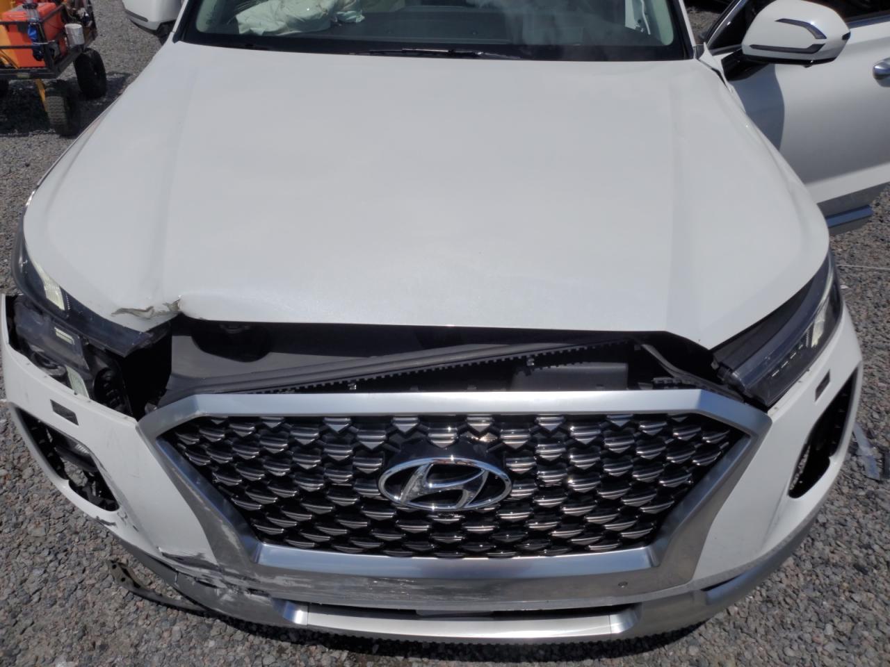 HYUNDAI PALISADE CALLIGRAPHY