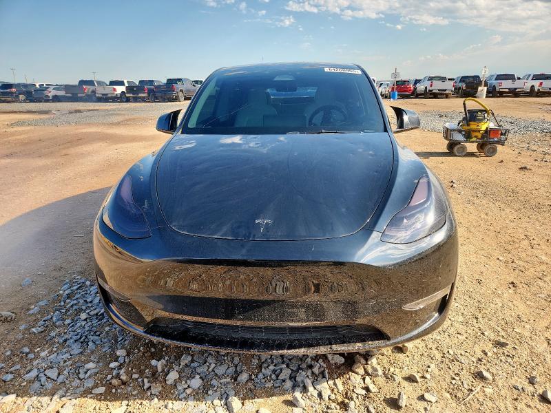 2023 TESLA MODEL Y 7SAYGDEF8PF664810
