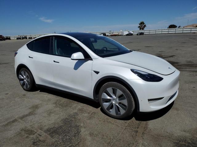 2023 TESLA MODEL Y 7SAYGDEE7PF816597