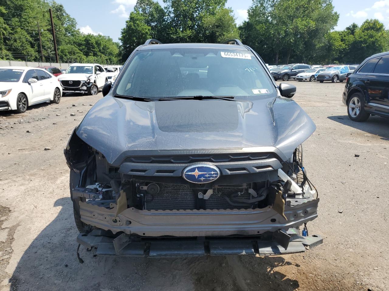 SUBARU FORESTER WILDERNESS