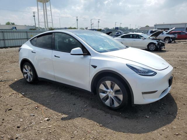 2021 TESLA MODEL Y 5YJYGDEE6MF117809