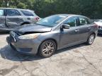 2016 FORD FOCUS SE - 1FADP3F20GL216677