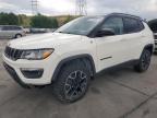 2019 JEEP COMPASS TR - 3C4NJDDB0KT723200