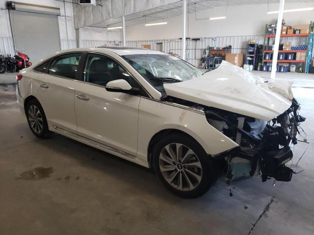 2017 HYUNDAI SONATA SPO - 5NPE34AF0HH519958