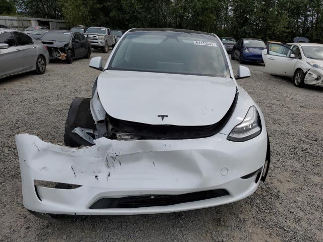 2023 TESLA MODEL Y 7SAYGDEE9PA144619