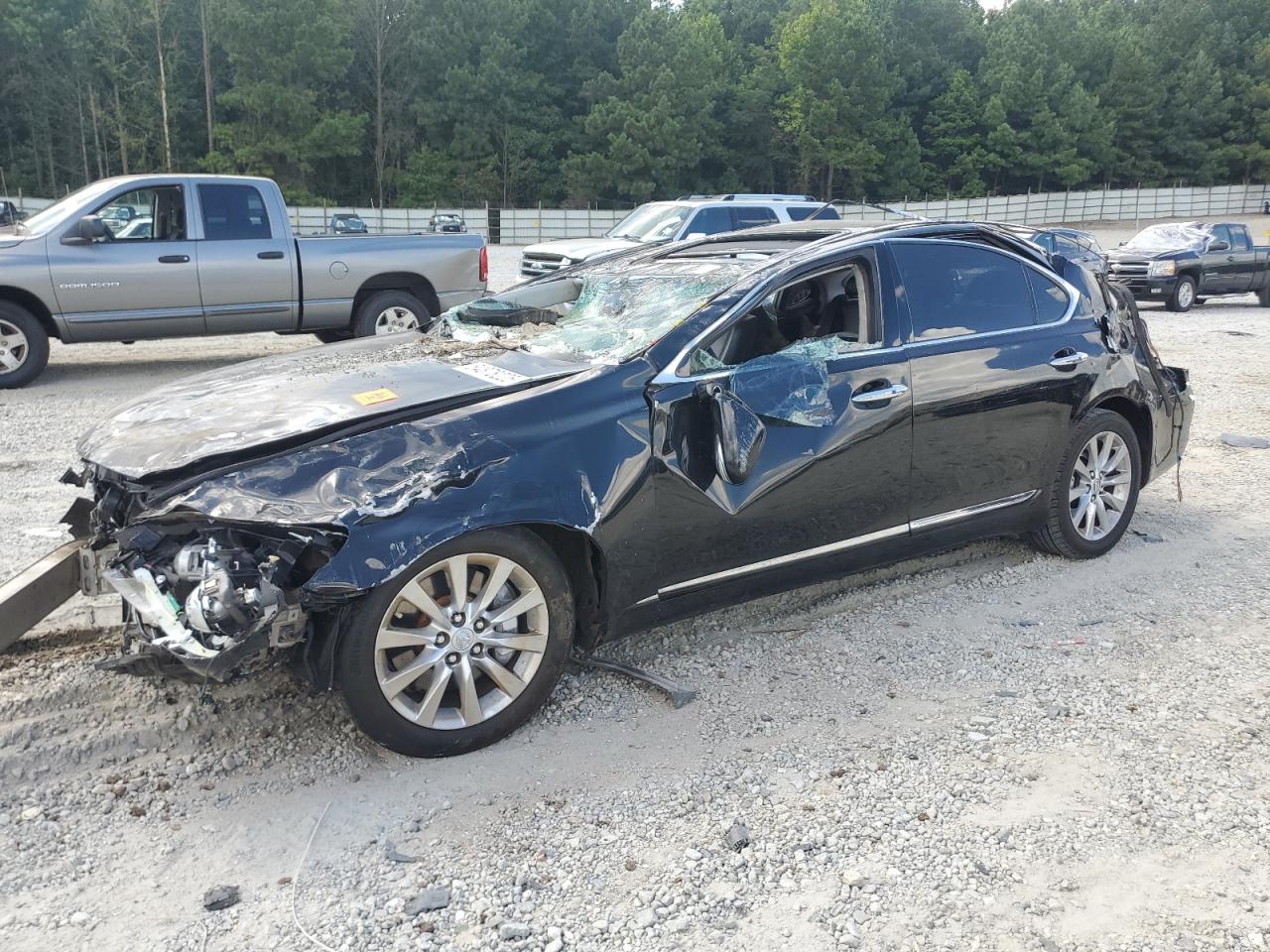 LEXUS LS 460 460L