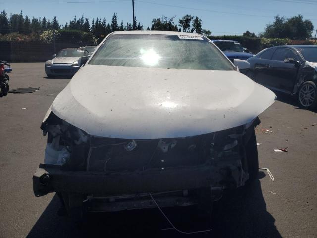 2016 TOYOTA CAMRY LE - 4T1BF1FK0GU128159