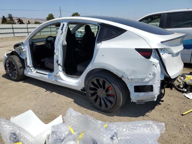 2025 TESLA MODEL Y - 7SAYGDEF2SF225899
