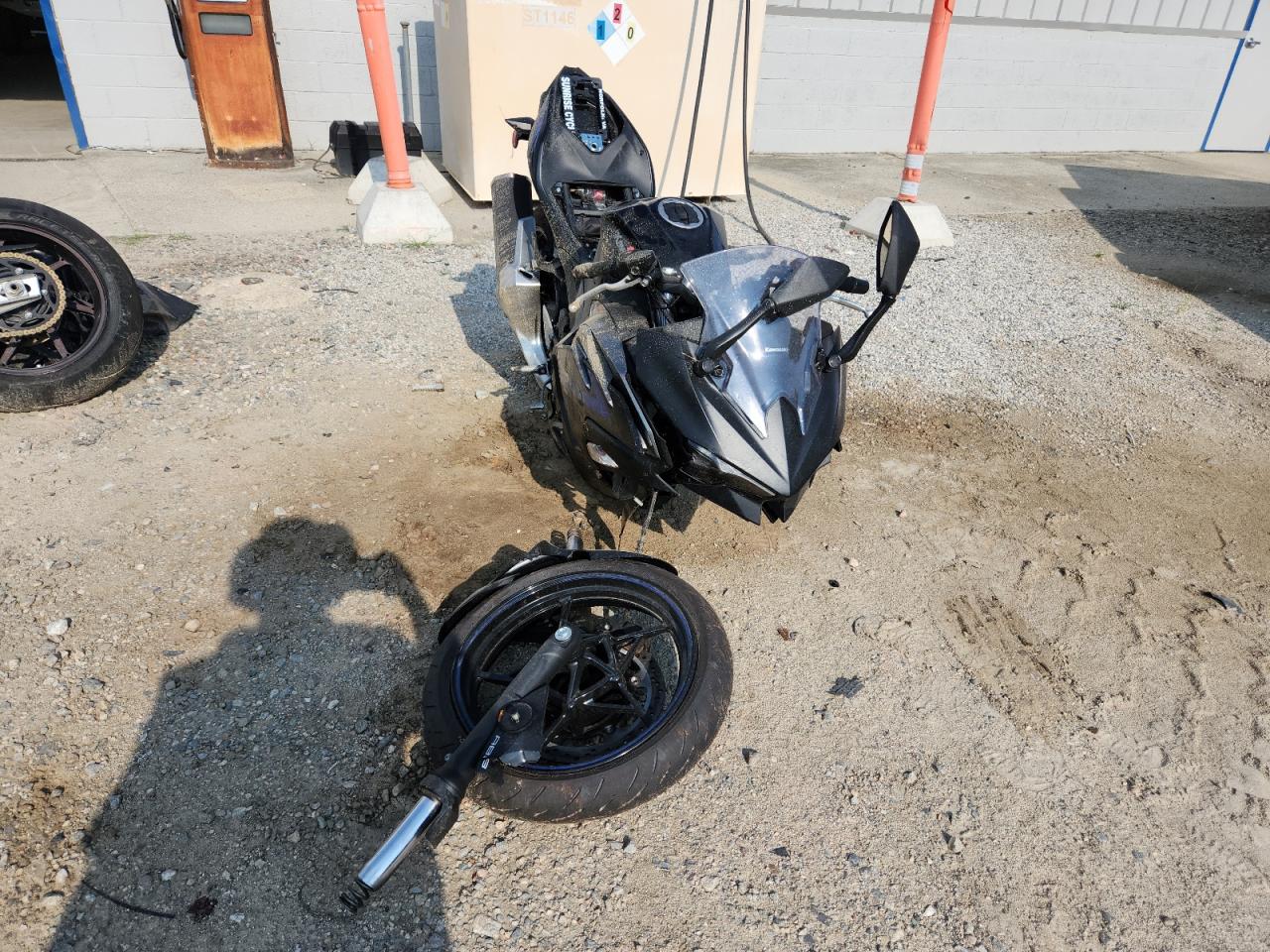 Lot #3301833348 2025 KAWASAKI EX500