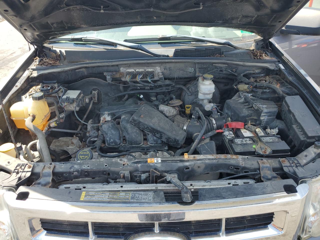 Lot #3310451315 2008 FORD ESCAPE