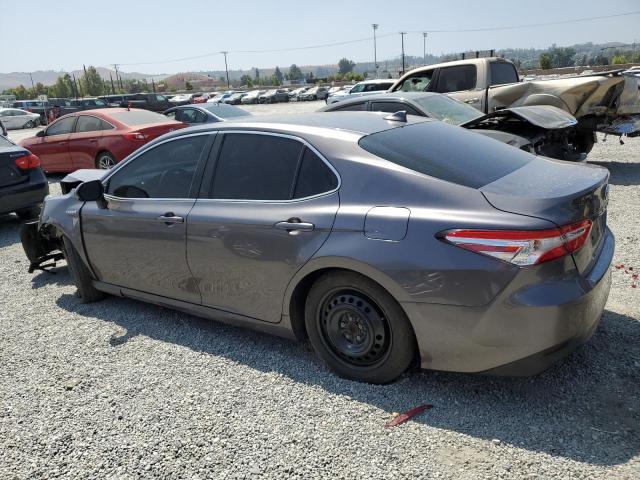 2019 TOYOTA CAMRY LE - 4T1B31HK4KU516896
