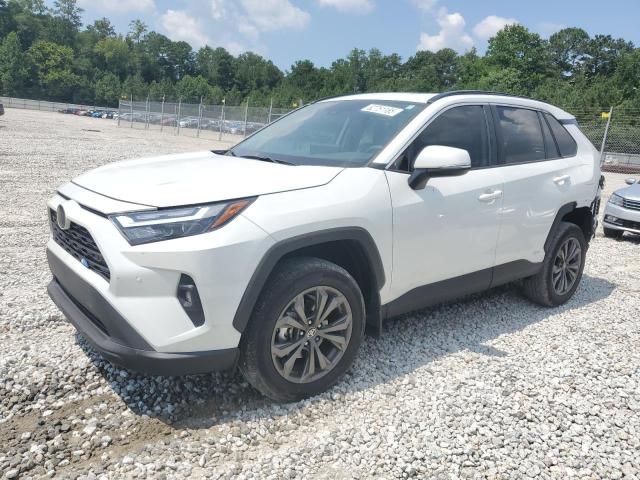 2025 TOYOTA RAV4 XLE P - 4T3B6RFV9SU177983