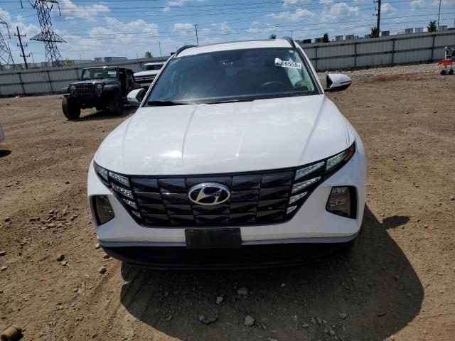 2023 HYUNDAI TUCSON SEL 5NMJFCAE3PH246548