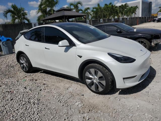 2024 TESLA MODEL Y 7SAYGDED2RF010239