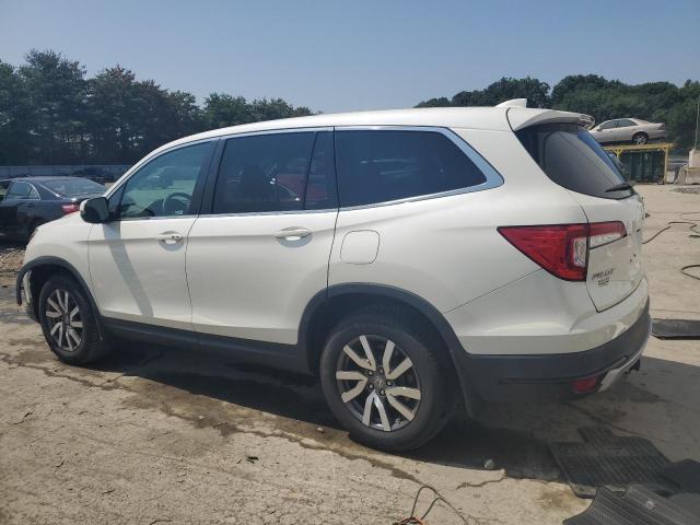 2019 HONDA PILOT EX 5FNYF6H36KB068486