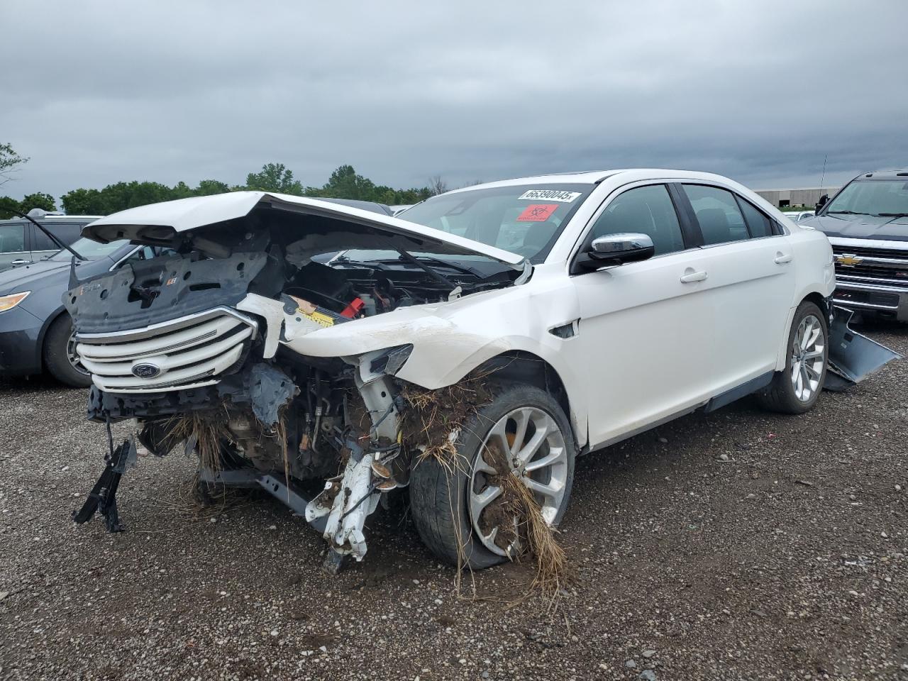 FORD TAURUS LIMITED