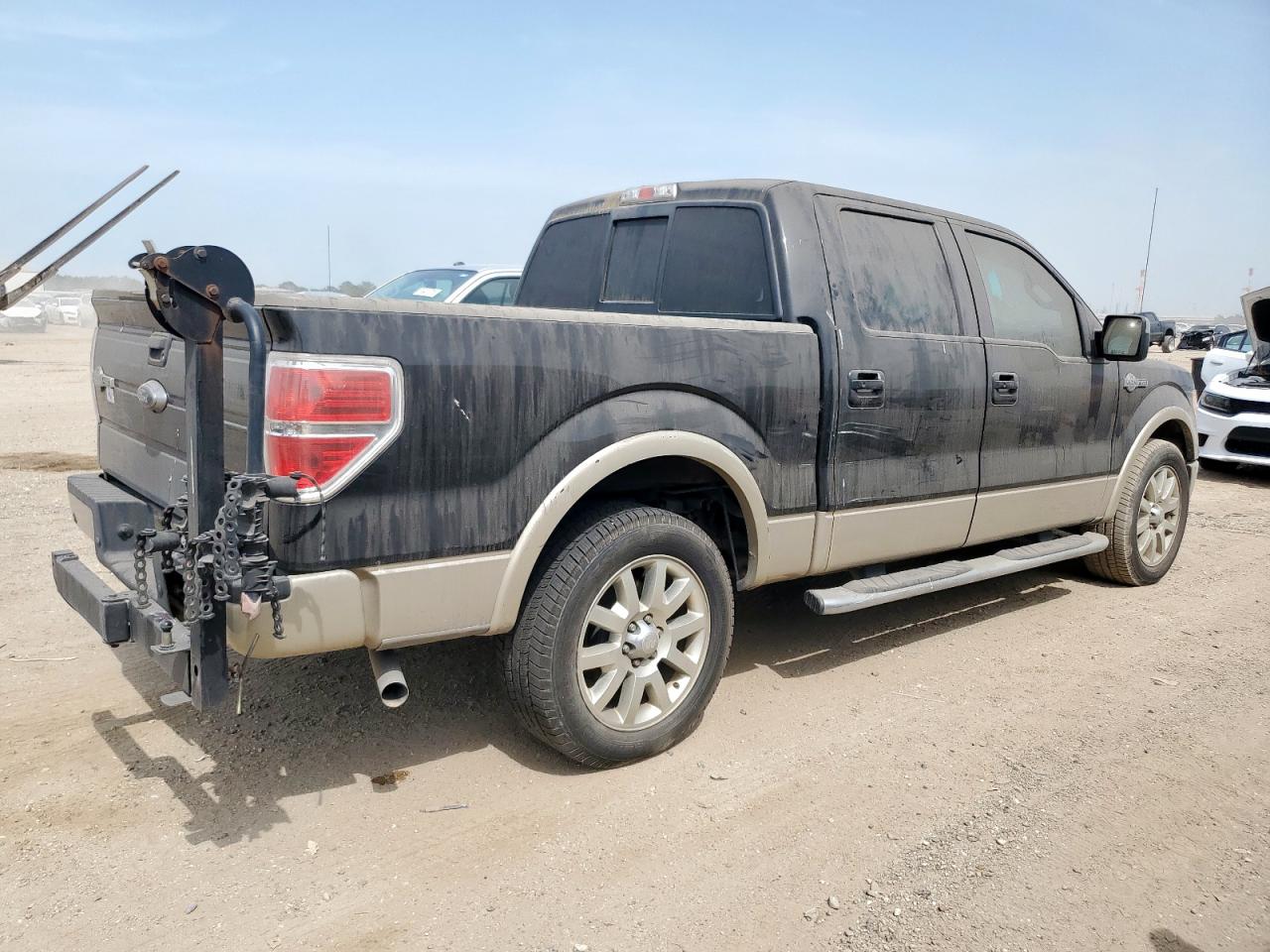 Lot #3308502071 2010 FORD F-150