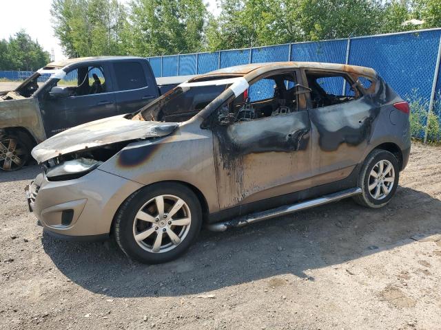 Global Auto Auctions: 2010 HYUNDAI TUCSON GLS