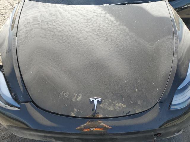 2025 TESLA MODEL Y - 7SAYGDED0SF320461