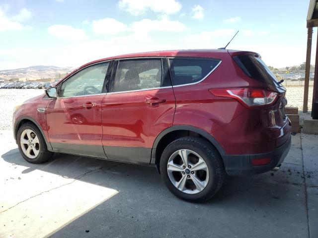 2014 FORD ESCAPE SE - 1FMCU0GX0EUE12256