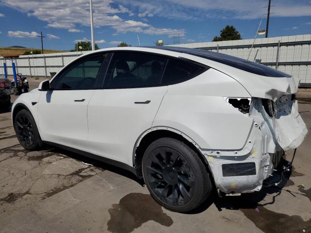 2021 TESLA MODEL Y 5YJYGDEE6MF075044