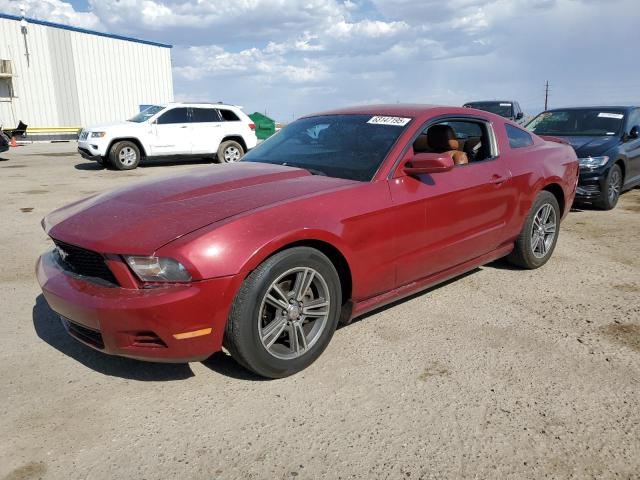 Vin: 1zvbp8anxa5107555, lot: 63147195, ford all models 2010 img_1