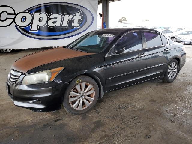 2011 HONDA ACCORD EXL - 1HGCP3F88BA026240