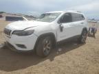 2019 JEEP CHEROKEE L - 1C4PJMDN5KD123717