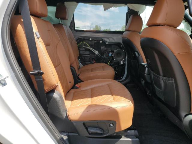 2024 KIA TELLURIDE 5XYP5DGC2RG564764