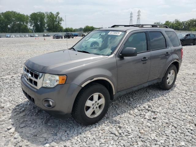 2011 FORD ESCAPE XLT - 1FMCU0D79BKB21363